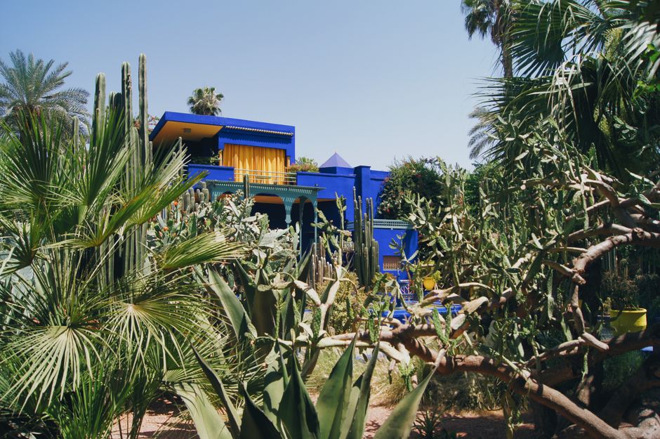马约尔花园 Jardin Majorelle