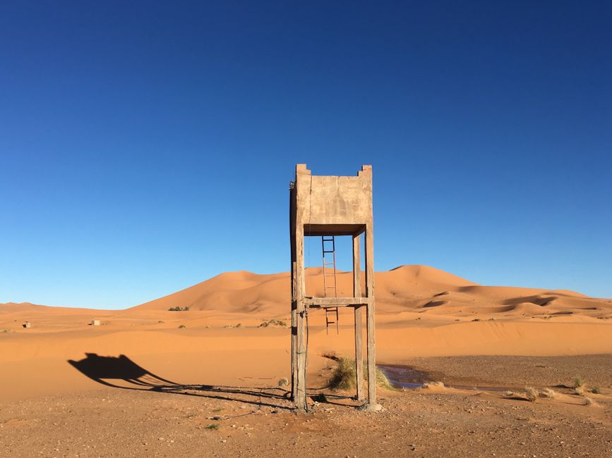 撒哈拉沙漠 Sahara Desert