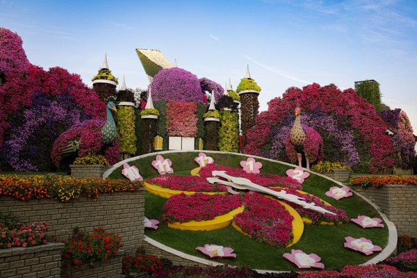 日内瓦花钟 Flower Clock