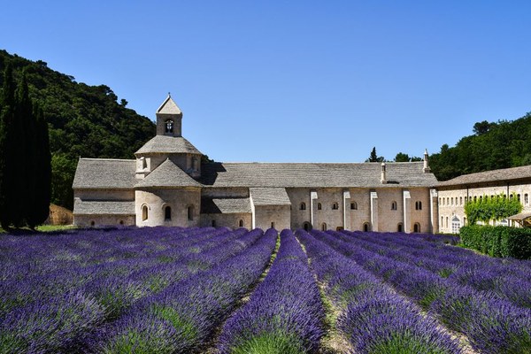 圣日耳曼德普雷修道院 Abbaye de Saint-Germain-des-Pres